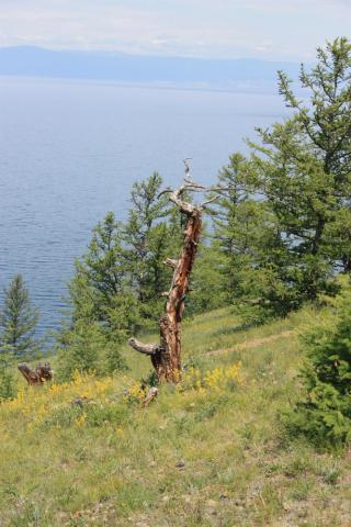 IMG_3323.jpg