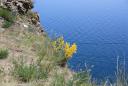 IMG_3327.jpg