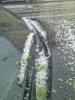 Прикрепленное изображение: 14052010398.jpg