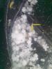 Прикрепленное изображение: 14052010399.jpg