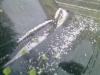 Прикрепленное изображение: 14052010400.jpg